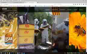 usar