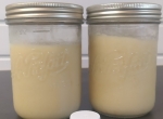 Gelée royale