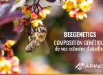 Analyses génétiques d'abeilles - BEEGENETICS