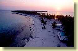 Halfmoon Caye