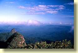 Victoria Peak