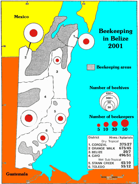 belize map 2000