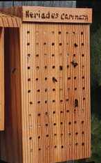 birds bees bats 1