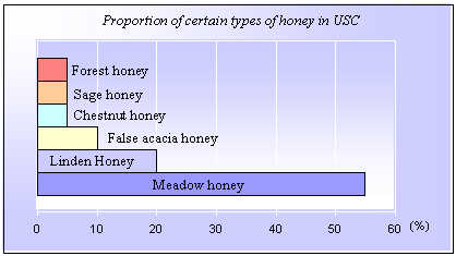 honey marketing strategy 1