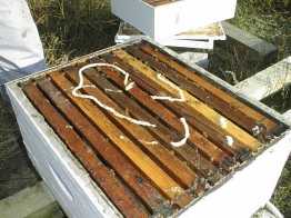 mineral oil emulsion