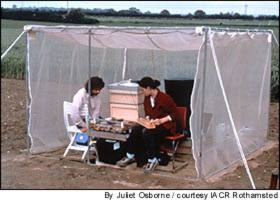 radar_honeybee_2.jpg (12544 octets)
