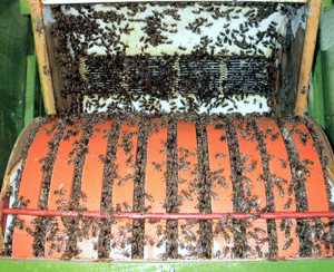 rotating beehive 4