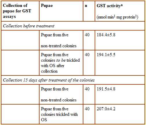 spring treatment oxalic acid 2