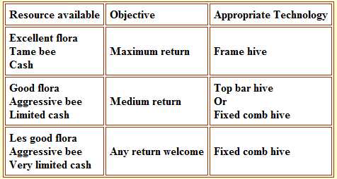 success development 2