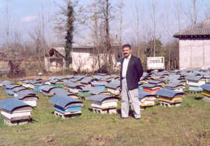 varroatose iran 5