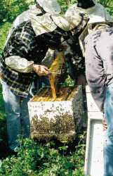apiculteur 2