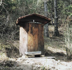 bois abeille 2