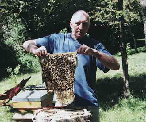 bois abeille 4