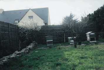 conseils hiver 1