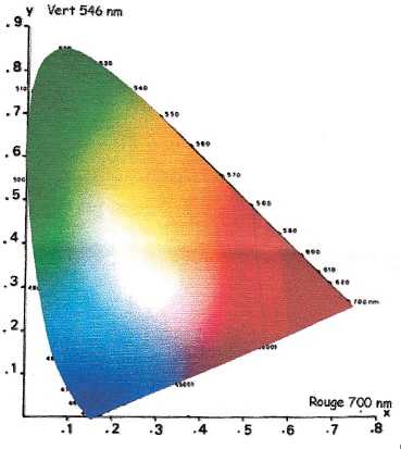 couleur miels 3