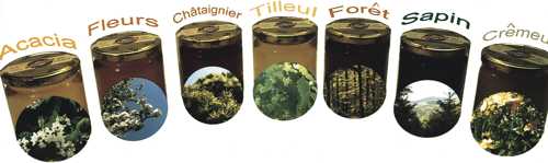 fragilisation ecosystemes 4