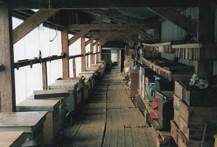 soucis 1