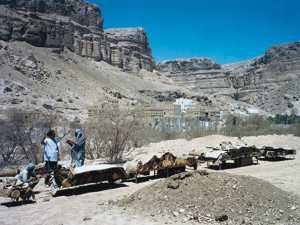 yemen 15