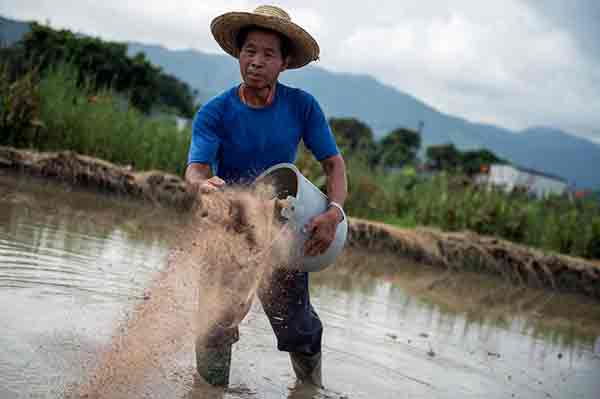 agriculture bio peut nourrir planete 1