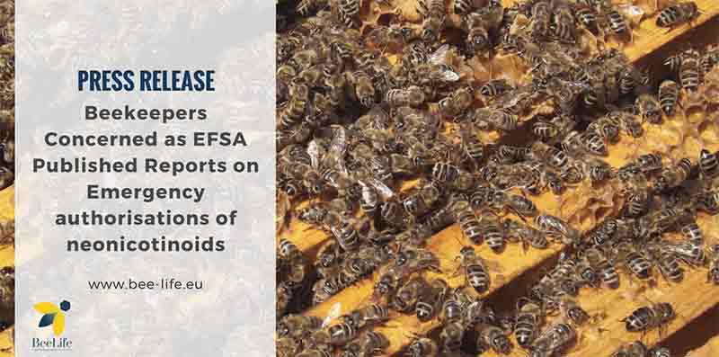 apiculteurs preoccupes rapports efsa