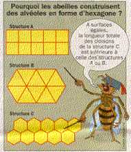 architectes 2
