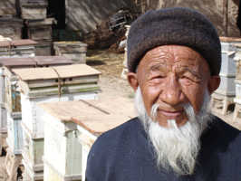 beekeeper