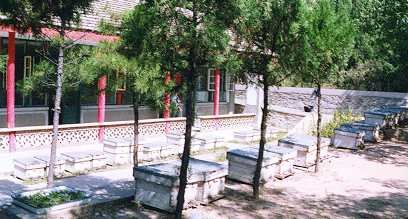 station.jpg (21164 octets)