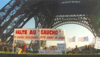 gaucho_halte.jpg (11037 octets)