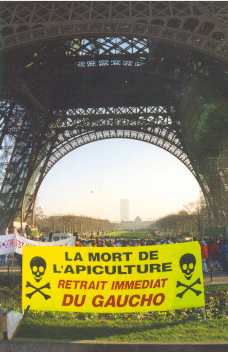 gaucho mort