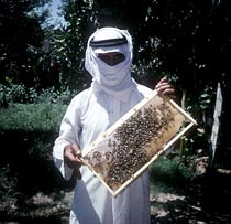 iraq varroa