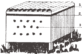 madagascar_14.gif (3630 octets)
