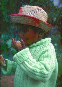 madagascar_5.jpg (9351 octets)
