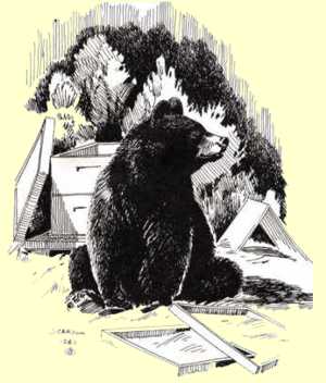 ours apiculteurs 0