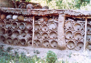 varroatose iran 1