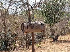 apiculture kenyane 6