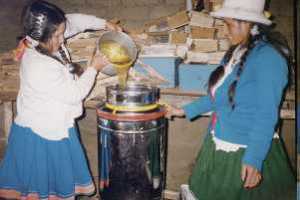 incas 2
