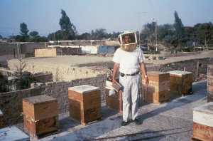 incas 3