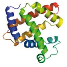 genome 3