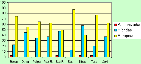 africanizacion_boyaca_67.gif (4962 octets)