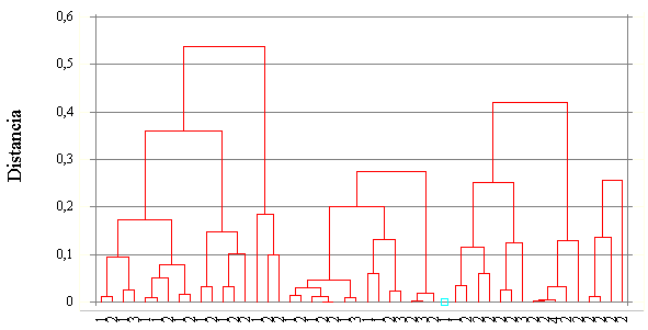 cluster.gif (5917 octets)