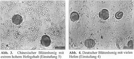 hefen 1