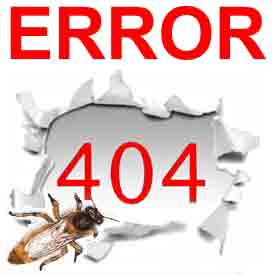 Error 404