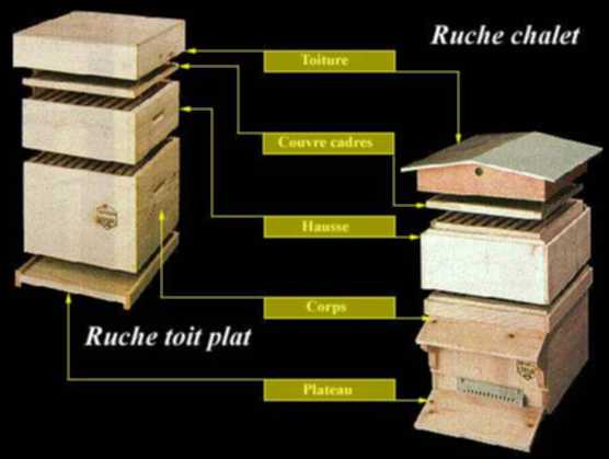 plan ruches