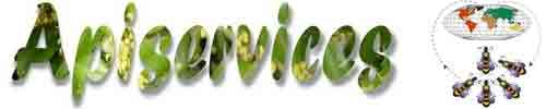 Apiculture - Apiservices