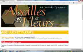 abeilles et fleurs