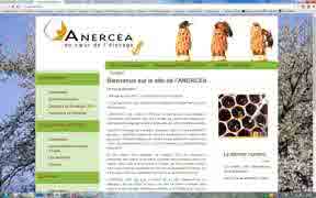 anercea