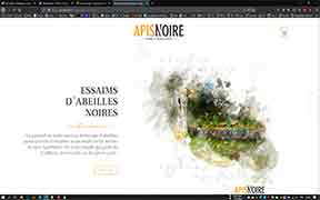 apisnoire