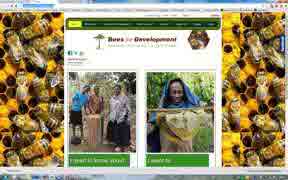 bees for development
