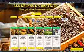 Les reines de Baptiste