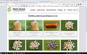 melli ouest